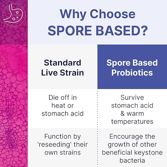 Mega_Spore_Biotic_180_capsules_spore_based