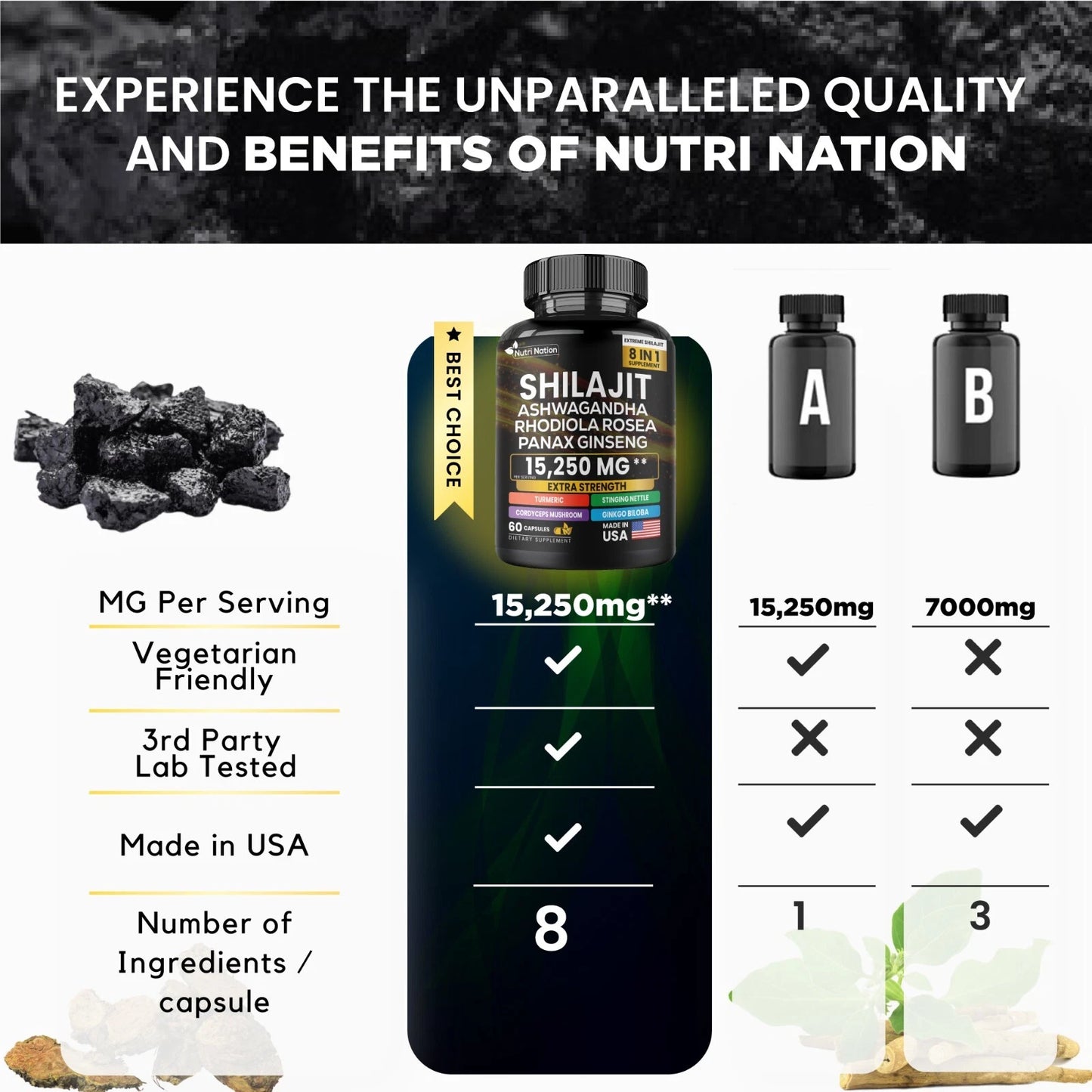 Shilajit Multivitamin (Turmeric, Ashwagandha, Ginger, Cordyceps Mushrooms) – 60 Capsules