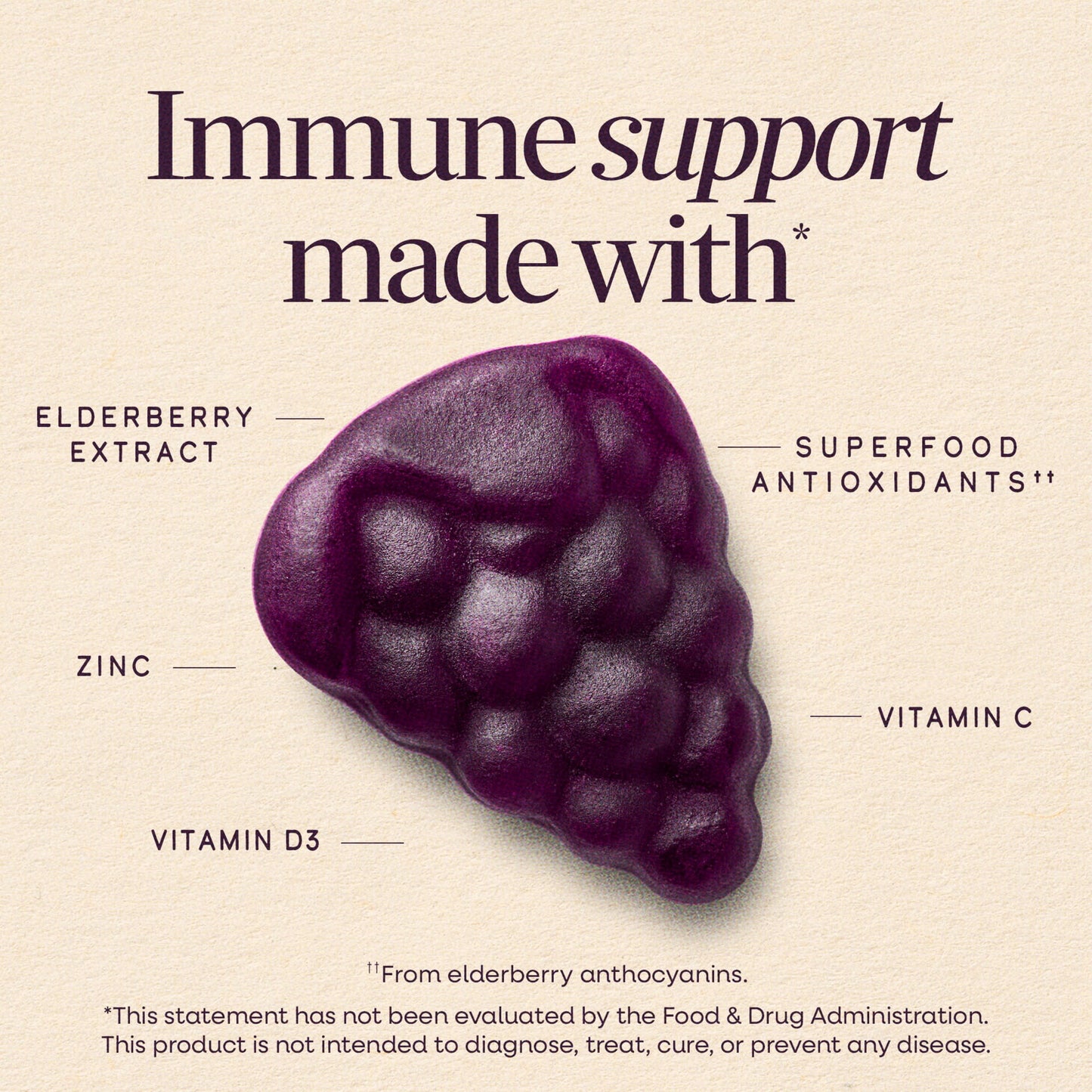 Nature’s Way Sambucus Elderberry Gummies – Daily Immune Support for the Whole Family