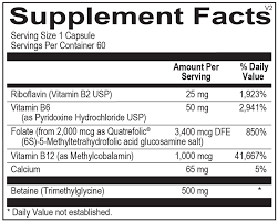 Ortho Biotic Capsules – 60 Capsules | Premium Probiotic Dietary Supplement