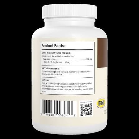 Real Mushrooms Organic Lion’s Mane Mushroom Capsules – 120 Count