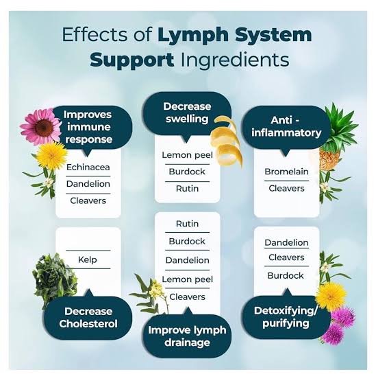 PUREHEALTH RESEARCH Lymph System Support – Lymphatic Drainage Supplement (60 Capsules)