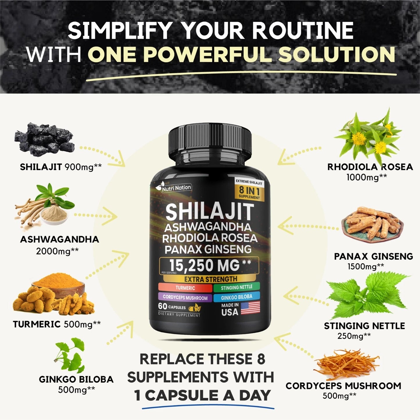 Shilajit Multivitamin (Turmeric, Ashwagandha, Ginger, Cordyceps Mushrooms) – 60 Capsules